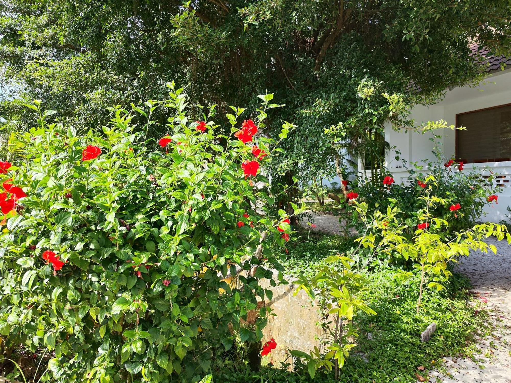 Y Village Resort Фу Куок Екстериор снимка